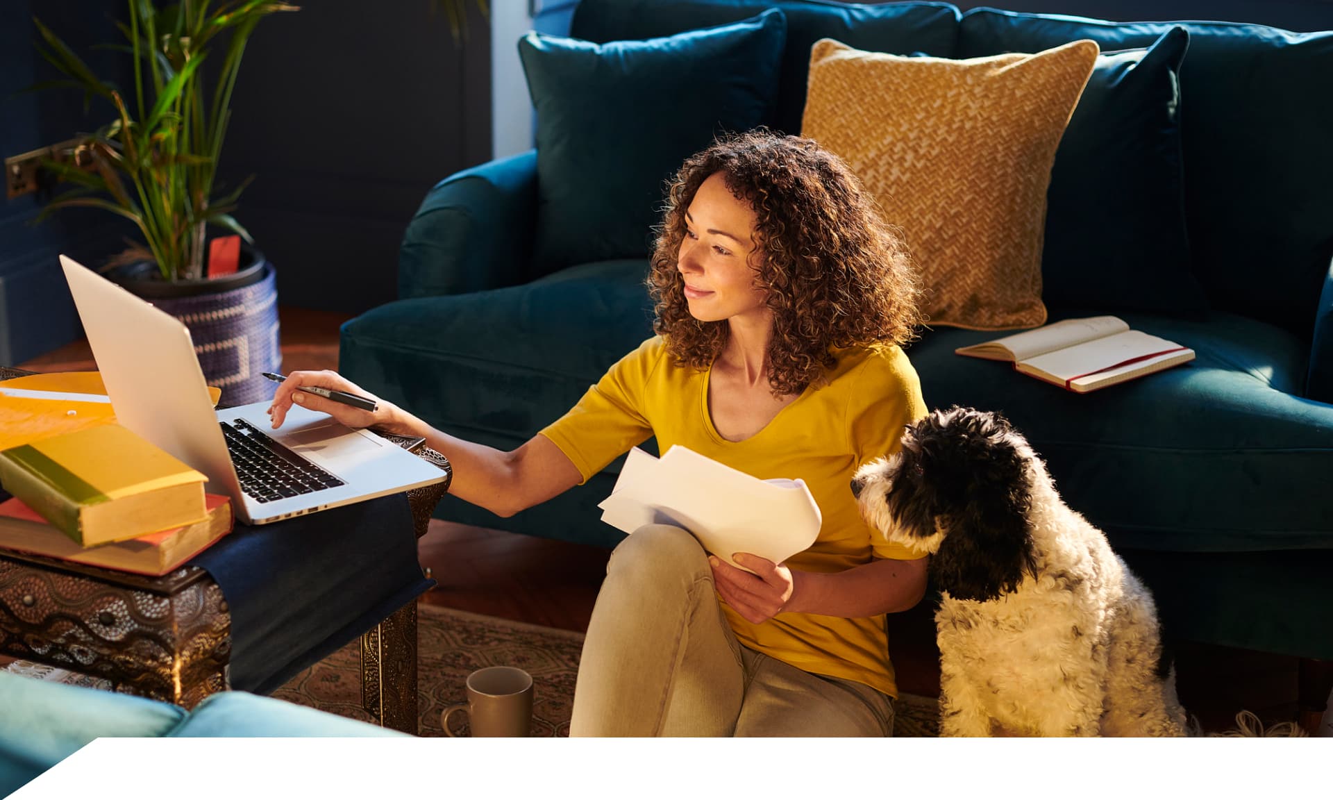 woman sitting with dog looking at laptop
