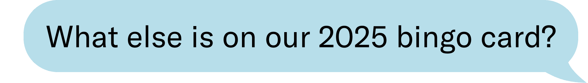 What else is on our 2025 bingo card?